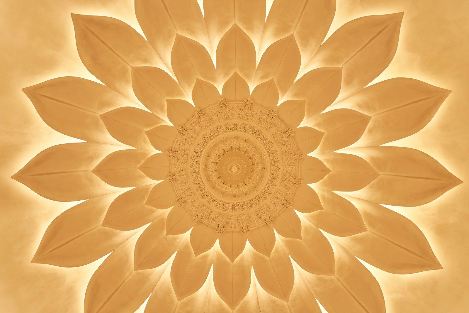 Lotus ceiling